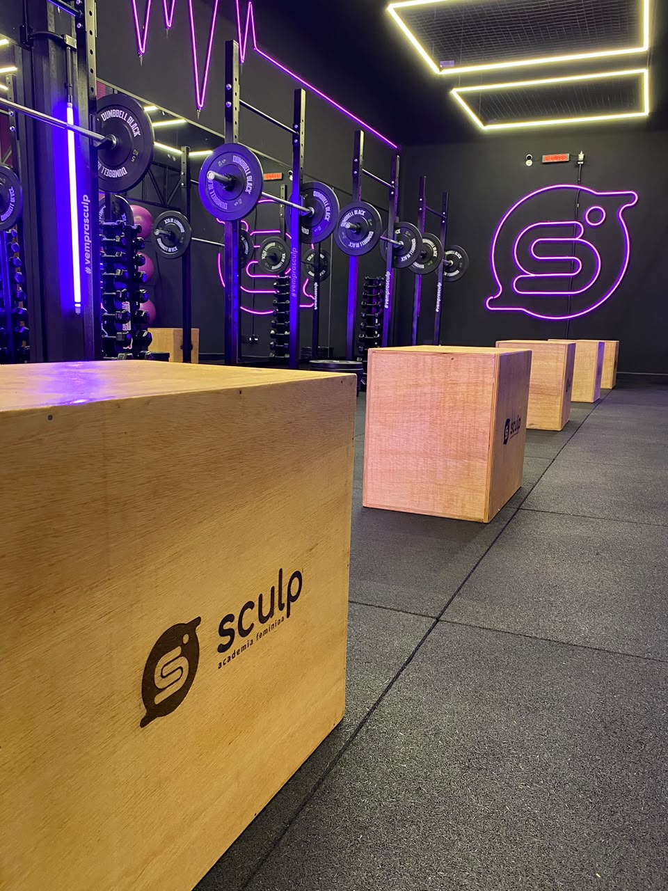 Área de treinamento funcional e pesos livres da Sculp Academia Feminina